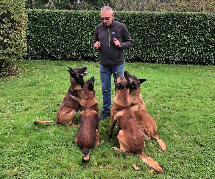 Éducation canine - Edu'Canin Caen - photo 2