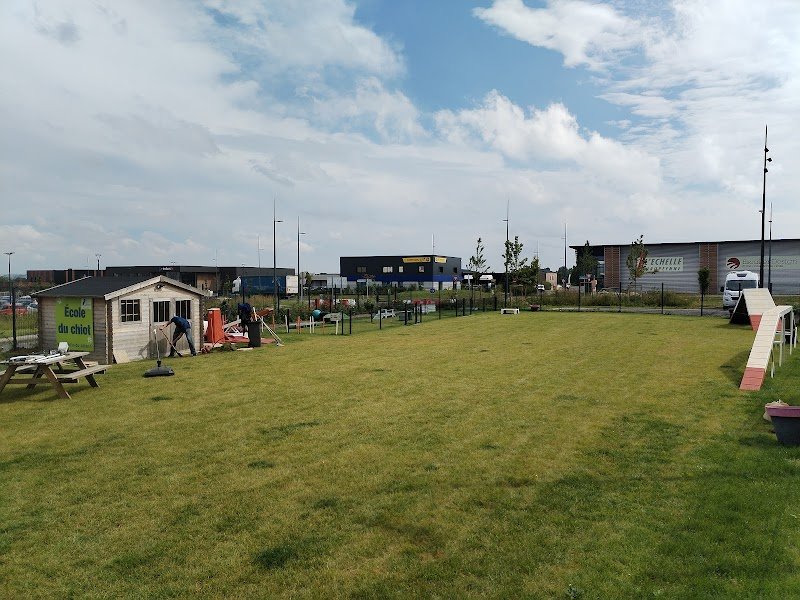 Ecole du chien - photo 2