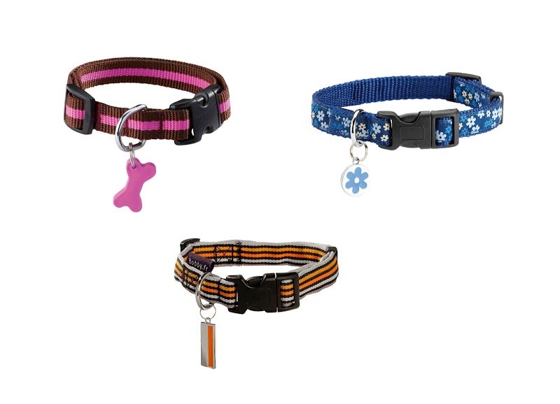 Ecole du chien - photo 3