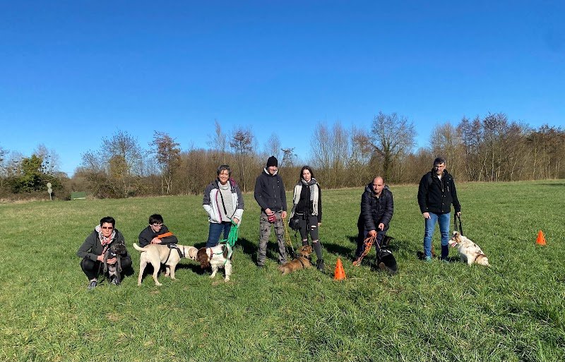 Dogs Educ Life - photo 2