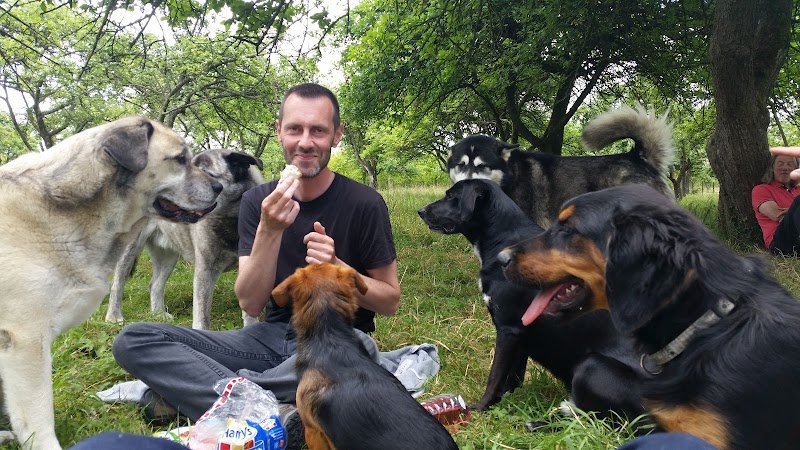 Nos chiens & nous - photo 2