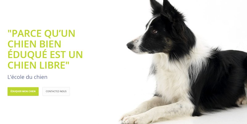 Ecole du chien
