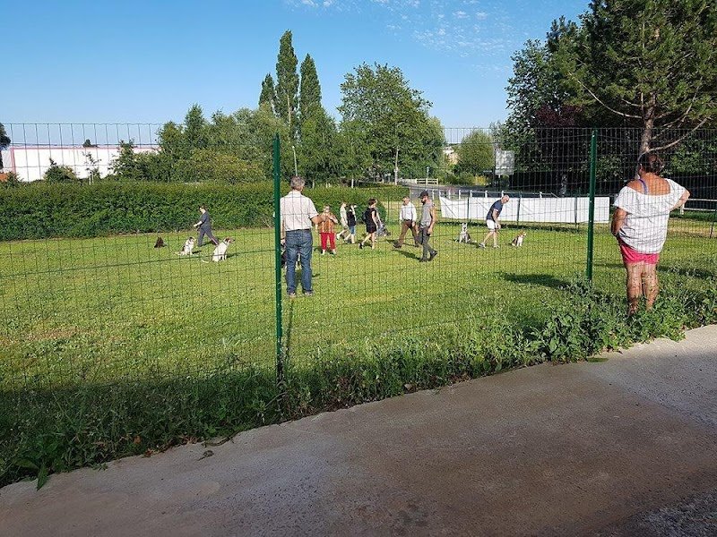 Ecole du chien - photo 2