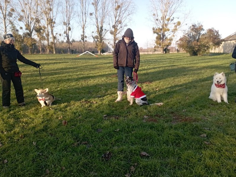 Club Éducation Canine d'Emiéville - photo 1