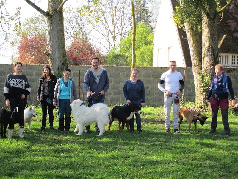 Club Éducation Canine d'Emiéville - photo 2