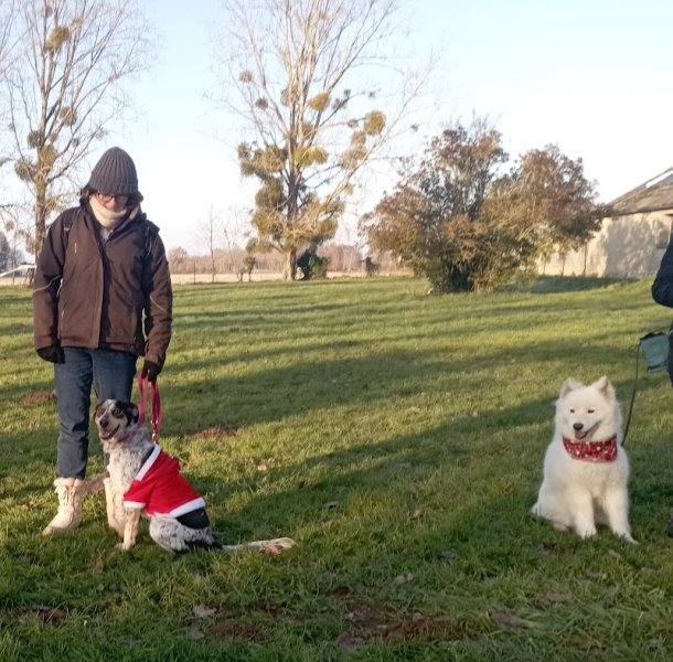 Club Éducation Canine d'Emiéville - photo 3