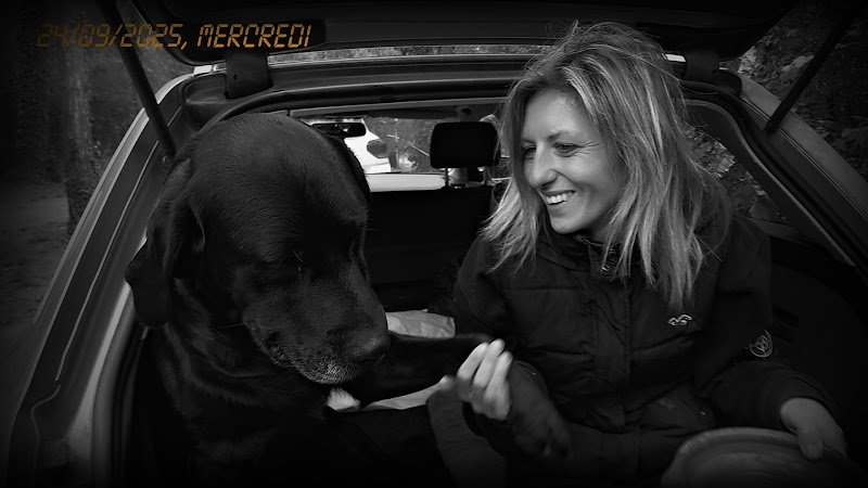 Simba'thie canine - photo 2