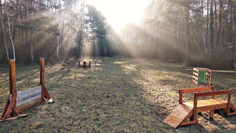 Dog's Learning - Education canine - photo 1