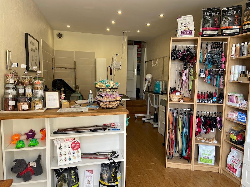 STUDIO CANIN - photo 1