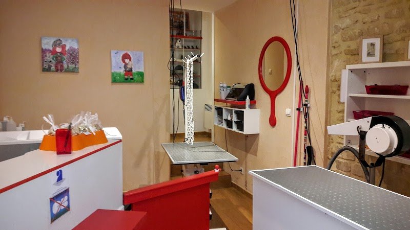 STUDIO CANIN - photo 2