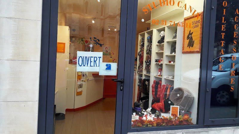 STUDIO CANIN - photo 3