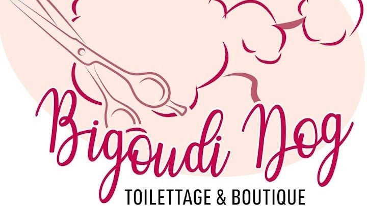 Bigoudi Dog - photo 1