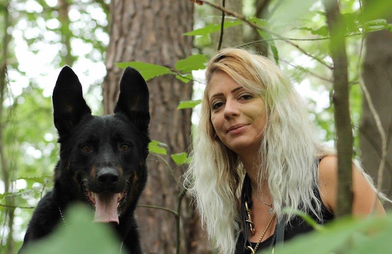 Educateur canin Respectdogs Honfleur Pont-Audemer - photo 1