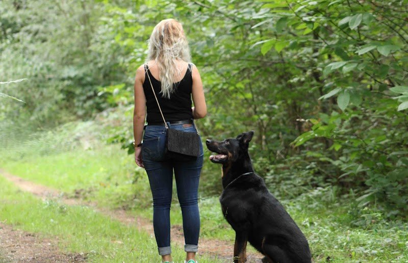 Educateur canin Respectdogs Honfleur Pont-Audemer - photo 3