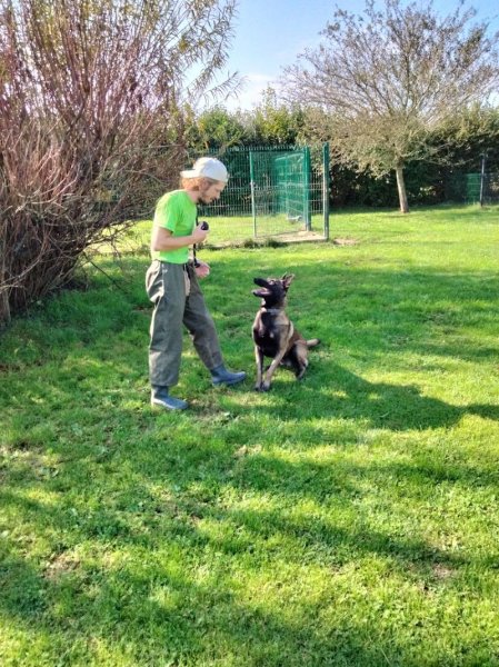 Elevage / pension canine La Sauvignère - photo 2