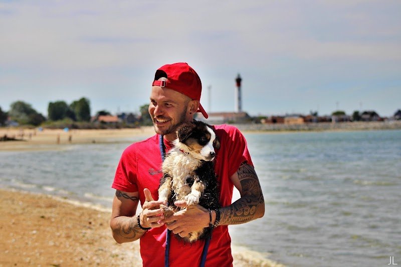 NSN EDUC educateur canin Caen - photo 2