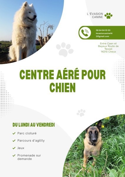 L'évasion canine centre aéré pour chien - photo 1