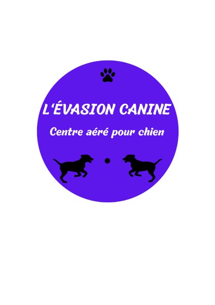 L'évasion canine centre aéré pour chien - photo 2
