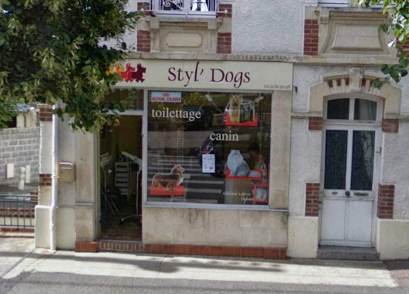 Styl'dogs - photo 1