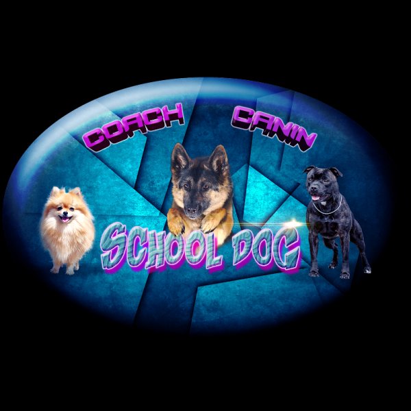 School Dog - photo 1