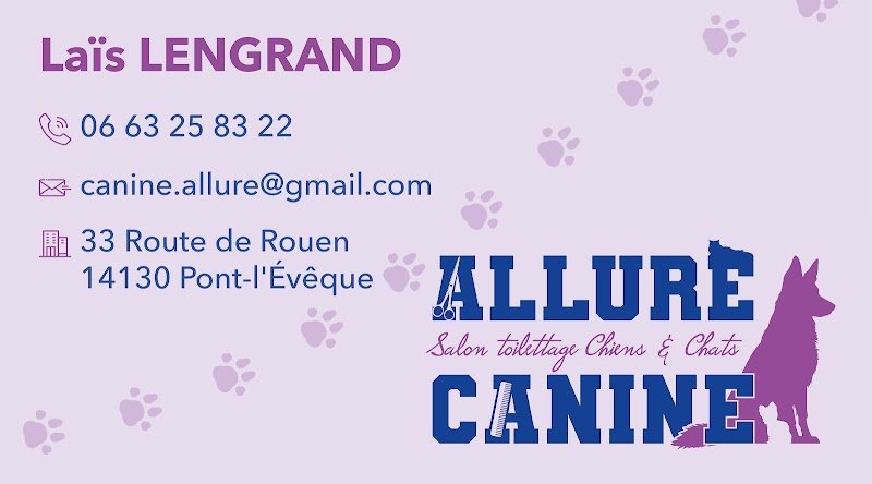 Allure Canine - photo 2