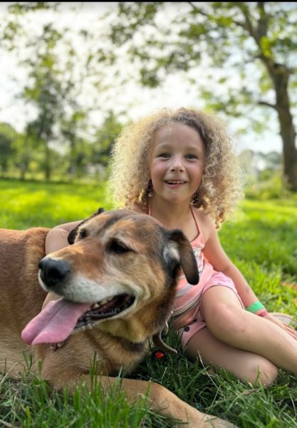 Pension pour chien du Centre canin des Vallons de la Sée