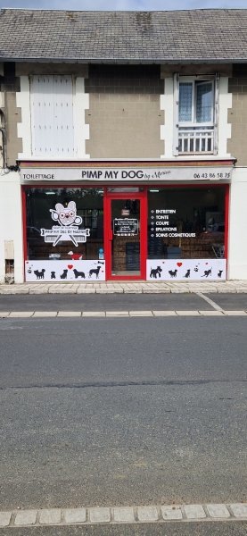 Pimp my dog by Marion. Toilettage