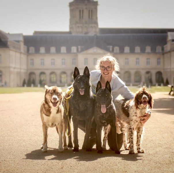 Éducateur canin RespectDogs Saint Lô