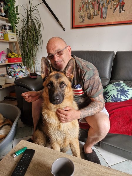 Éducateur canin RespectDogs Saint Lô - photo 2