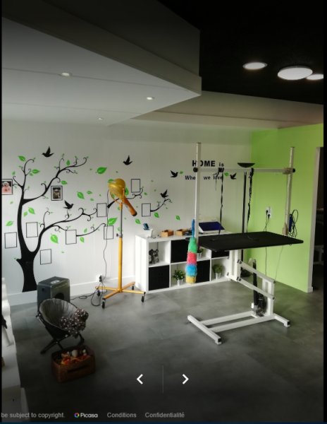 Espace Canin - photo 3