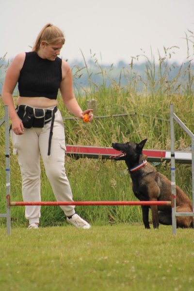 Club du Chien de Saint-Lô - photo 3