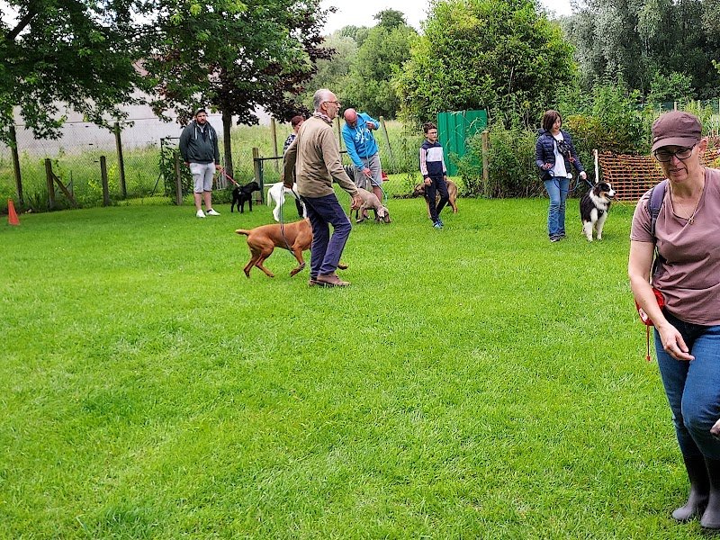 Le Club d ' Education Canine de Pont Audemer