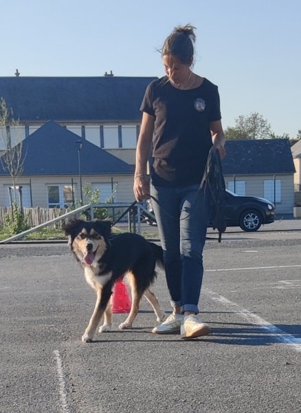 Julie Messire Education Canine - photo 2