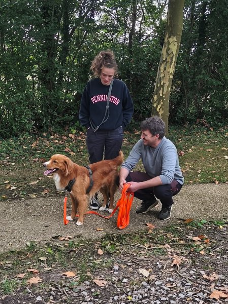 Steph et les chiens - Éducateur comportementaliste canin - photo 2
