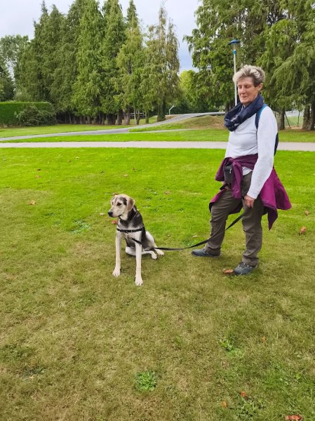 Steph et les chiens - Éducateur comportementaliste canin - photo 3