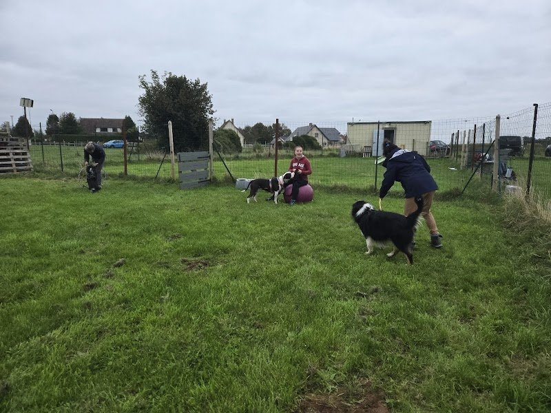 Complexe Canin Gonnevillais - photo 2