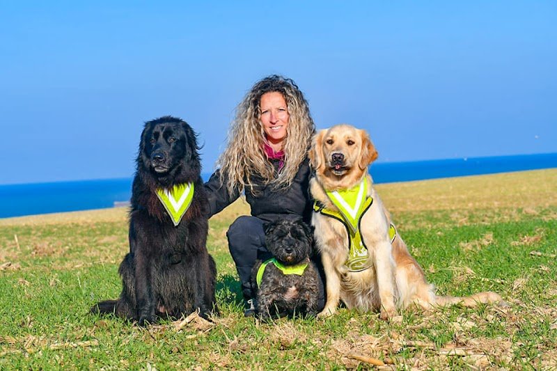 Pension/Garderie CHIENS Ô'Rêve du Glay
