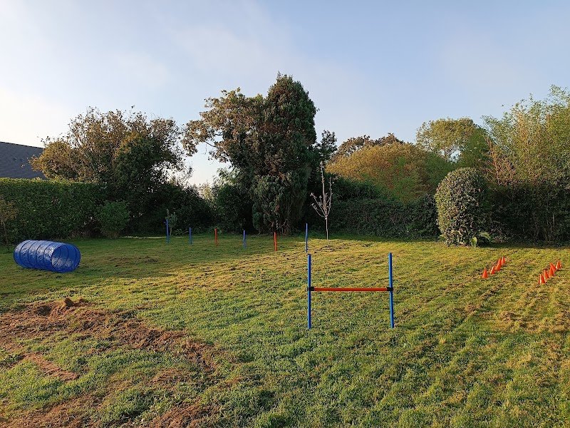 Lucie Durand - Educateur comportementaliste Canin - Pet Sitter