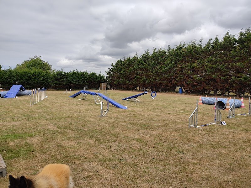 Club canin de la Hève - photo 1