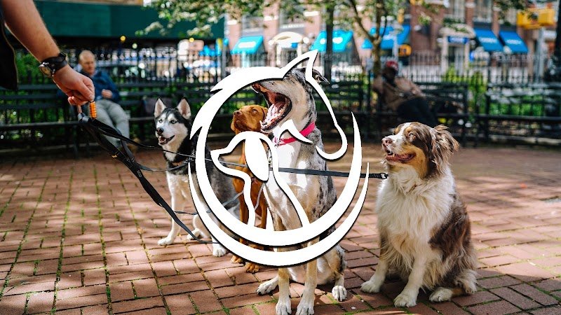 Kala | Services Canins & Équins | Éducation & Dressage à Domicile au Québec