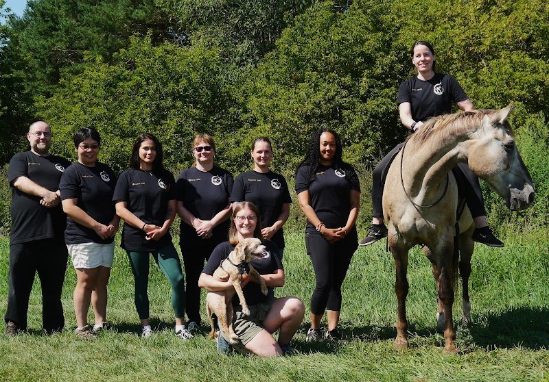 Kala | Services Canins & Équins | Éducation & Dressage à Domicile au Québec - photo 3