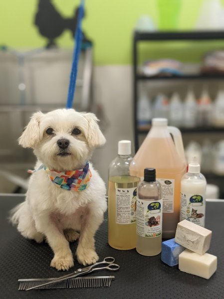 Espace Chien Inc. - photo 3