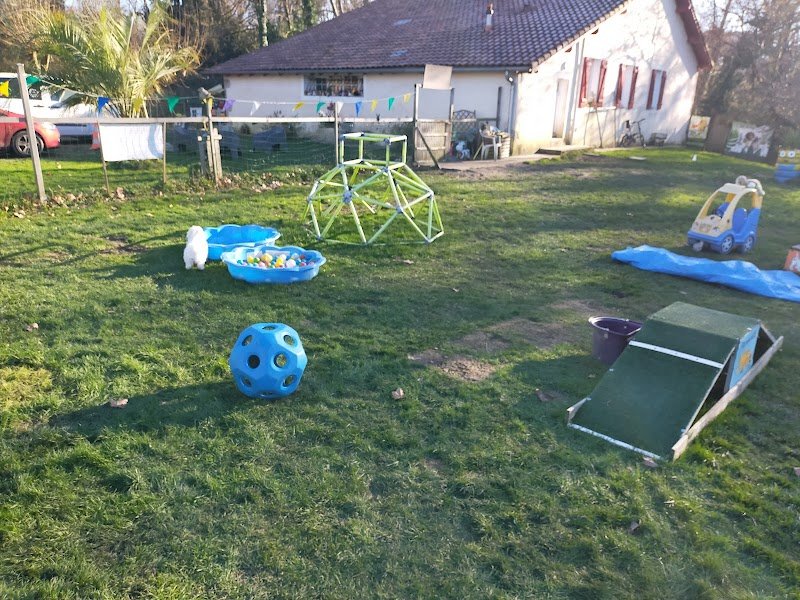 SCOUBI DOG SERVICES - photo 3