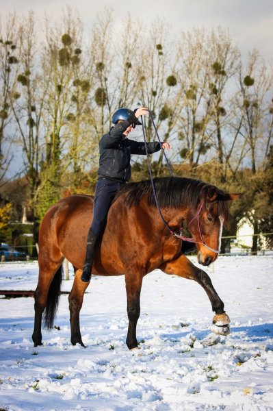 Académie d'Enseignement Comportemental FIRFOL - photo 2