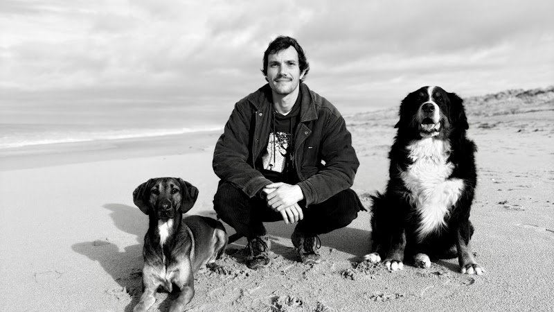 OuiDogs Lingreville - Educateur Canin/Comportementaliste