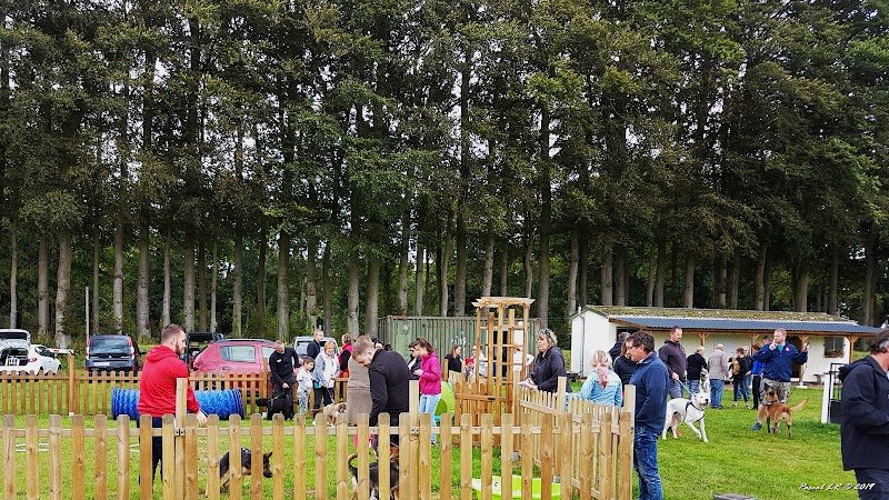 Amicale Cynophile Agility de Fécamp - photo 2