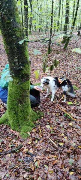 La voie du Berger - Educatrice canin - photo 3