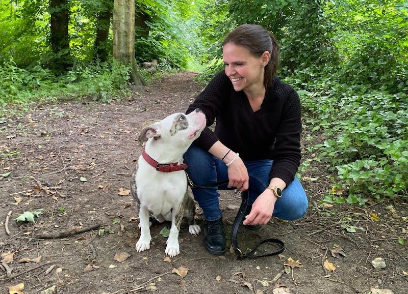 Éducateur canin RespectDogs Évreux - photo 3