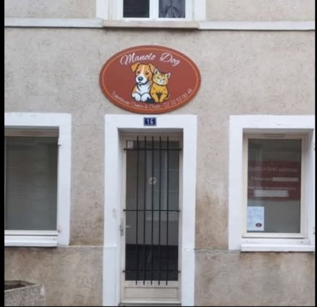 Manolo dog - photo 1