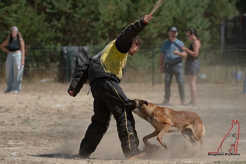Centre de Formation Cynophile Patrice Foucault